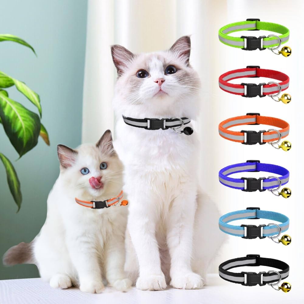 Animals accessories